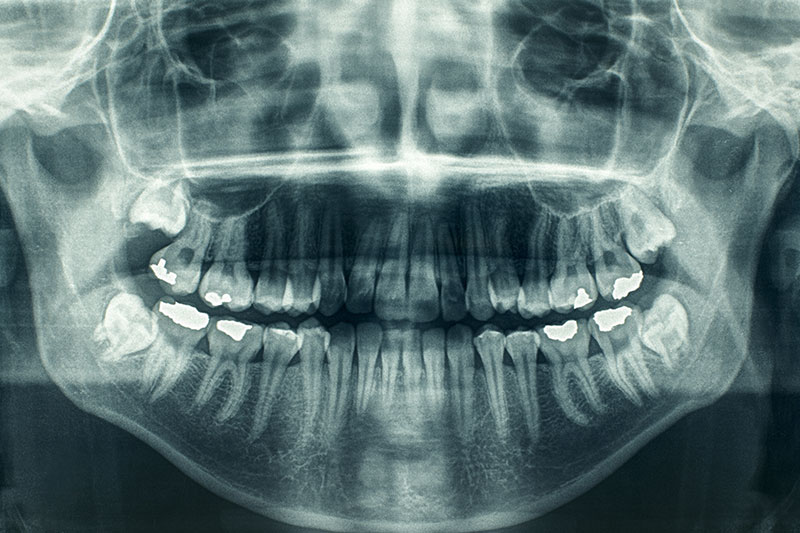 Dentist in Bastrop