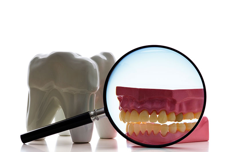 Dentist in Bastrop